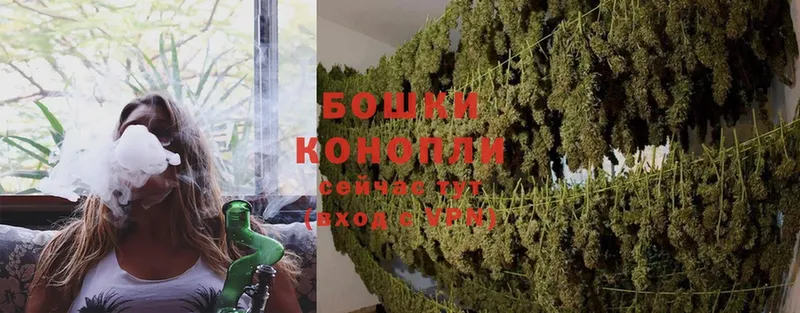 Марихуана SATIVA & INDICA  сколько стоит  Мирный 